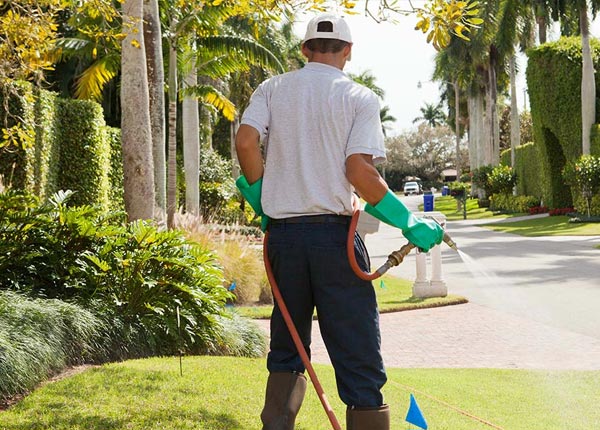 About Emerson IA Pest Control